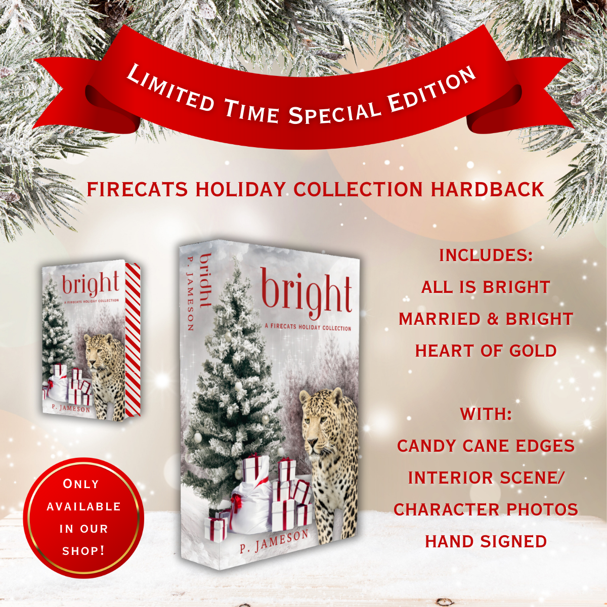 Firecats Christmas Limited Time Special Edition Hardback