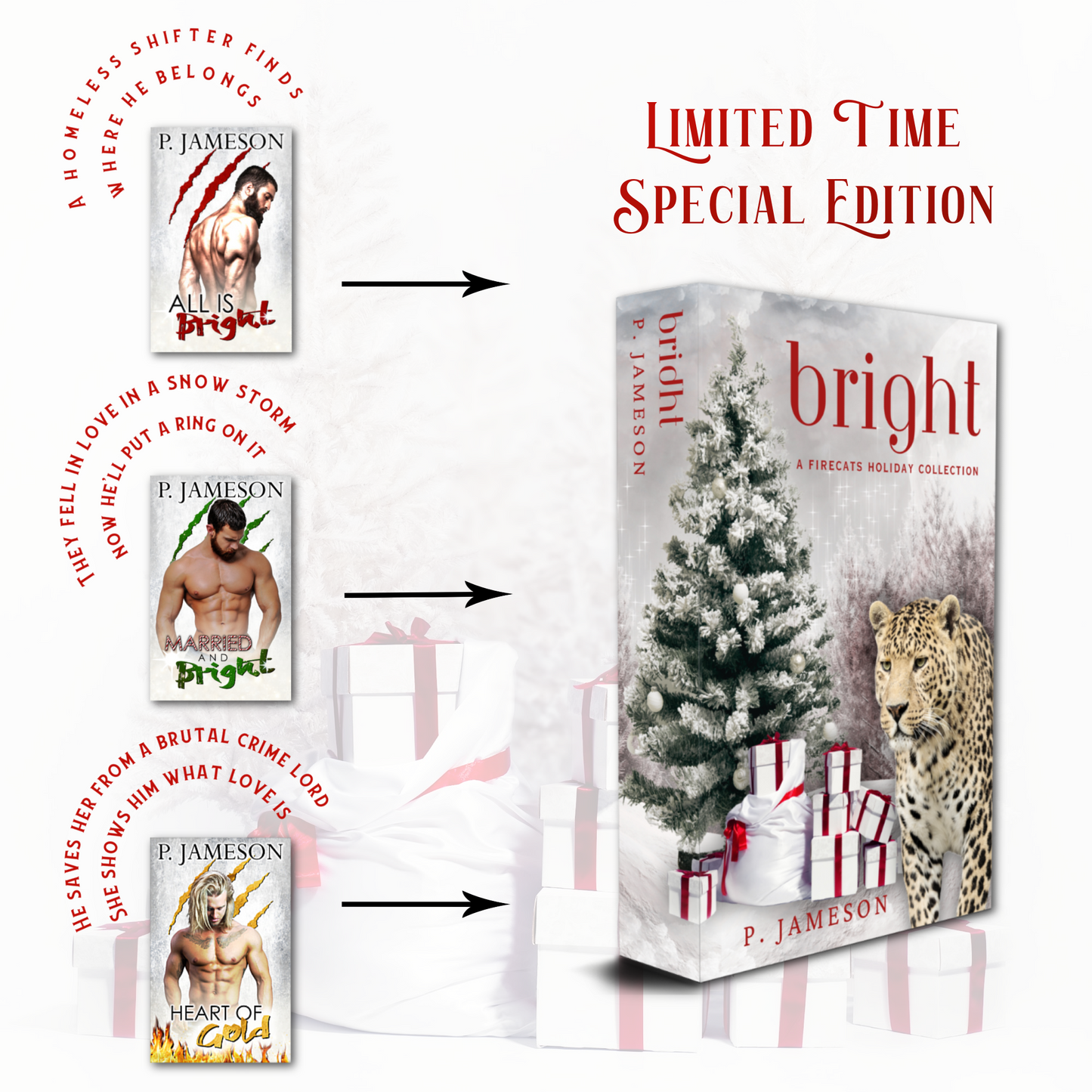 Firecats Christmas Limited Time Special Edition Hardback