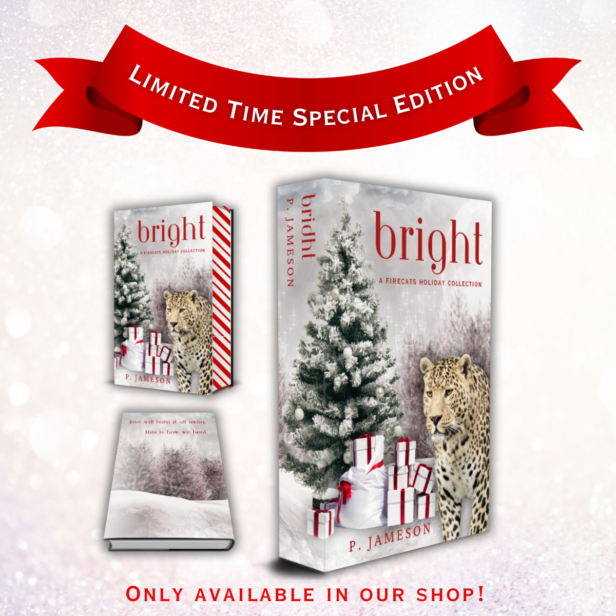 Firecats Christmas Limited Time Special Edition Hardback